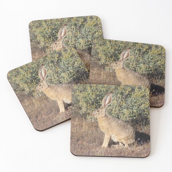 Item preview, Stunning Jack Rabbit designed and sold by simonjayphotos.