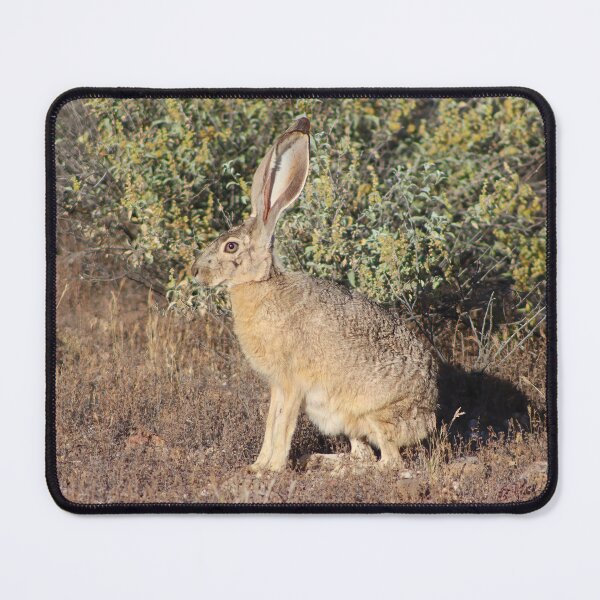 Item preview, Stunning Jack Rabbit designed and sold by simonjayphotos.