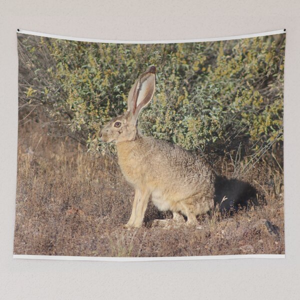 Item preview, Stunning Jack Rabbit designed and sold by simonjayphotos.