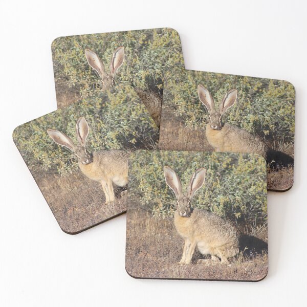 Item preview, Lovely Jack Rabbit designed and sold by simonjayphotos.