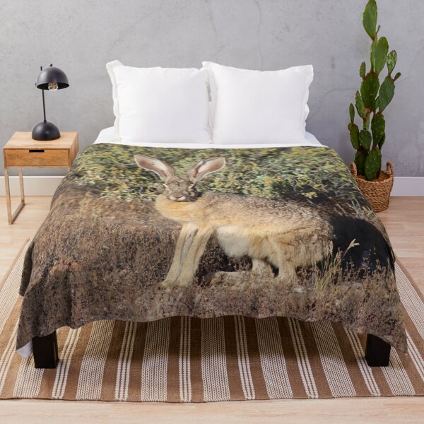 Item preview, Lovely Jack Rabbit designed and sold by simonjayphotos.