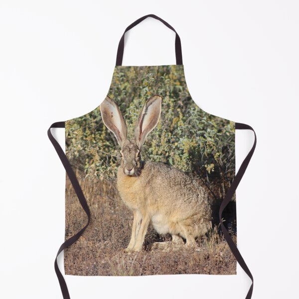 Item preview, Lovely Jack Rabbit designed and sold by simonjayphotos.