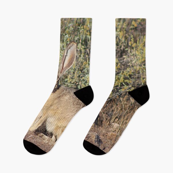 Item preview, Lovely Jack Rabbit designed and sold by simonjayphotos.