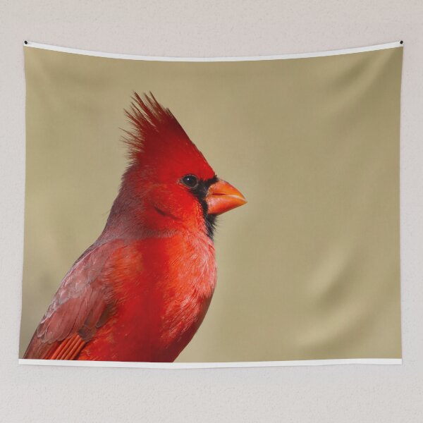 Item preview, Stunning Red Cardinal Brid designed and sold by simonjayphotos.