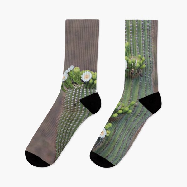 Item preview, Sensational Flowering Saguaro Cactus designed and sold by simonjayphotos.