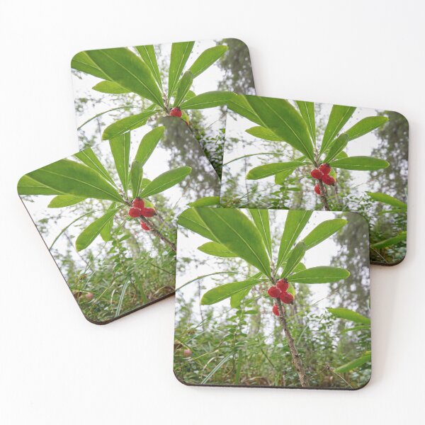 Item preview, Mezereon. Kuusamo, Ristikallio designed and sold by Jouko Lehto Photography.