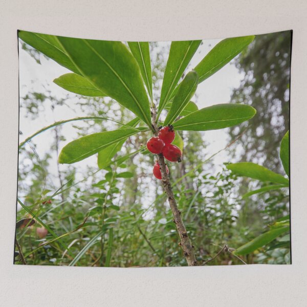 Item preview, Mezereon. Kuusamo, Ristikallio designed and sold by Jouko Lehto Photography.