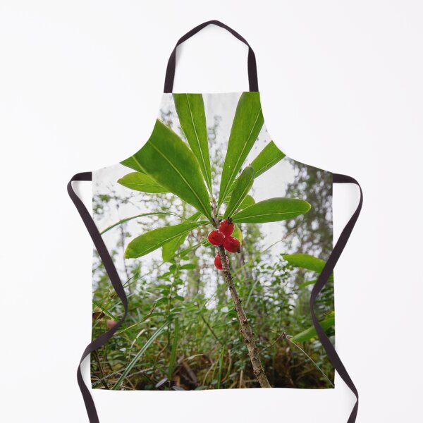 Item preview, Mezereon. Kuusamo, Ristikallio designed and sold by Jouko Lehto Photography.