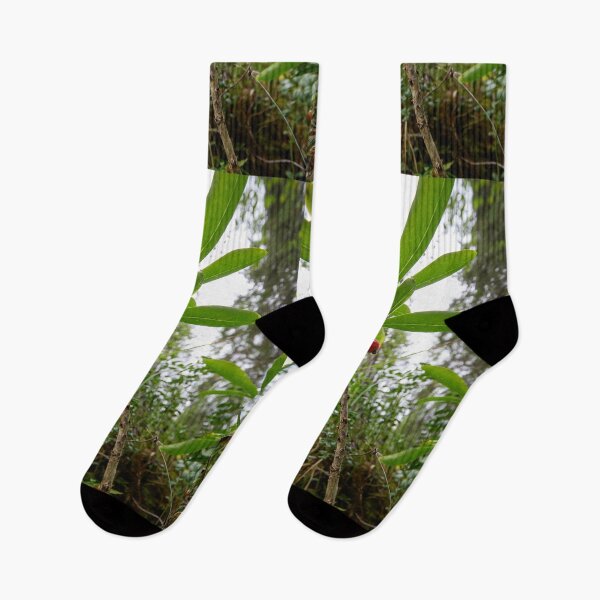 Item preview, Mezereon. Kuusamo, Ristikallio designed and sold by Jouko Lehto Photography.