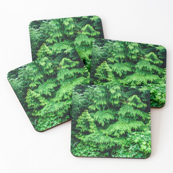 Item preview, Alaskan Magical And Mysterious Coastal Rainforest Adventure    designed and sold by DEC02.