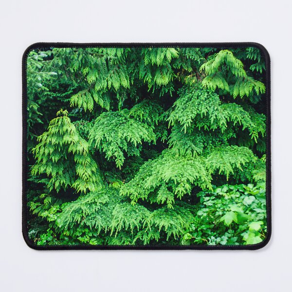 Item preview, Alaskan Magical And Mysterious Coastal Rainforest Adventure    designed and sold by DEC02.
