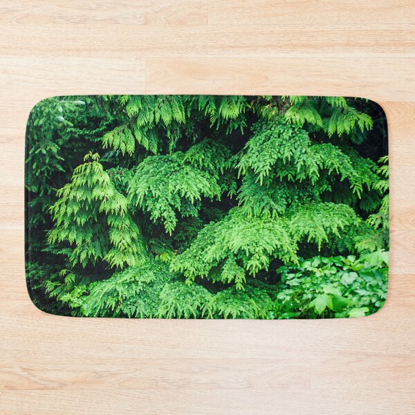 Item preview, Alaskan Magical And Mysterious Coastal Rainforest Adventure    designed and sold by DEC02.