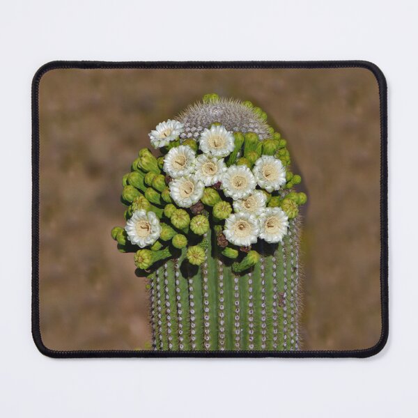 Item preview, Dazzling Saguaro Cactus Flowers designed and sold by simonjayphotos.