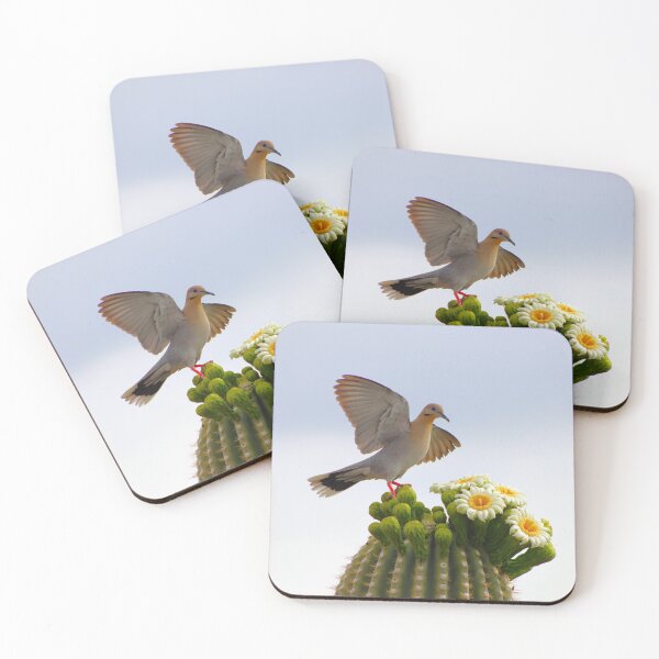Item preview, Beautiful Dove And Saguaro Cactus  designed and sold by simonjayphotos.