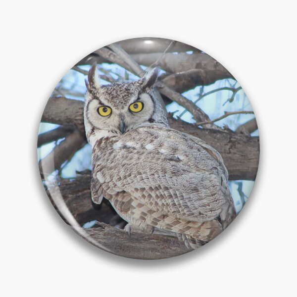 Item preview, Superb Great Horned Owl  designed and sold by simonjayphotos.
