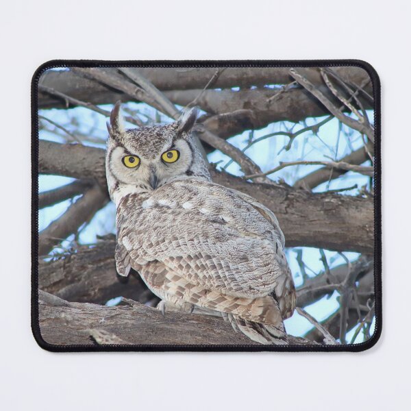 Item preview, Superb Great Horned Owl designed and sold by simonjayphotos.