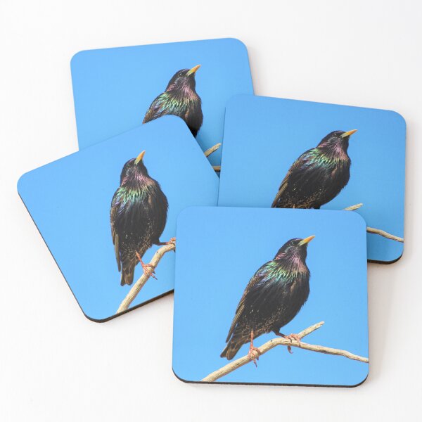 Item preview, Radiant European Starling  designed and sold by simonjayphotos.