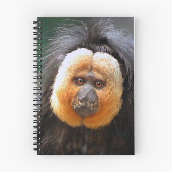 Item preview, Portrait of a Saki Monkey designed and sold by Savannah Gibbs.