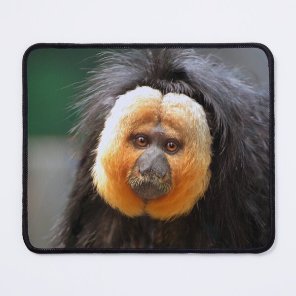 Item preview, Portrait of a Saki Monkey designed and sold by Savannah Gibbs.