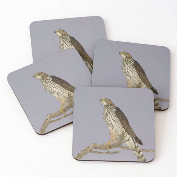 Item preview, Stunning Red-Tail Hawk designed and sold by simonjayphotos.