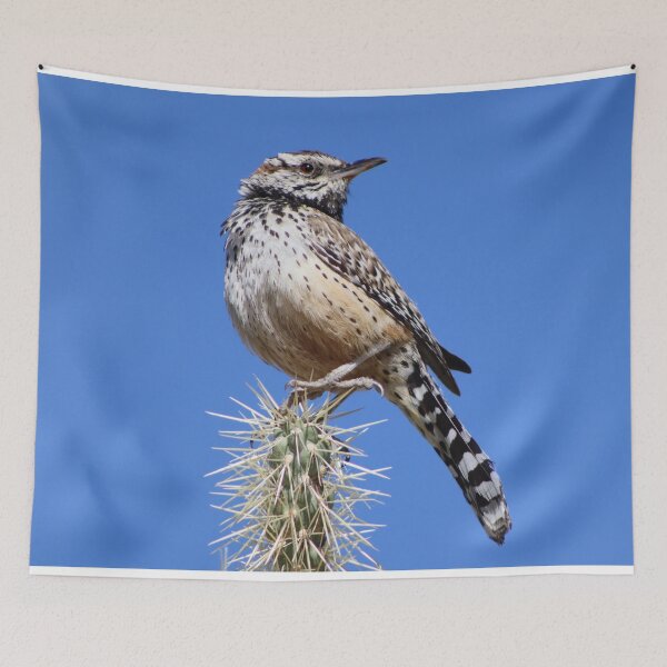 Item preview, Pretty Cactus Wren designed and sold by simonjayphotos.