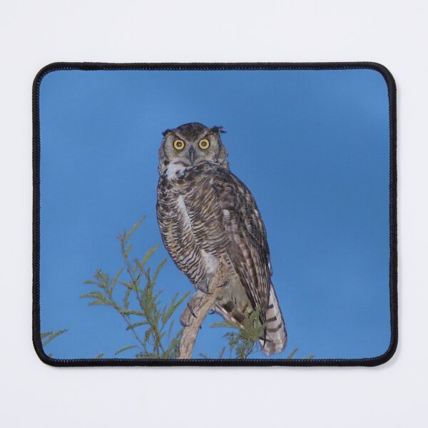 Item preview, Beautiful Wise Owl designed and sold by simonjayphotos.