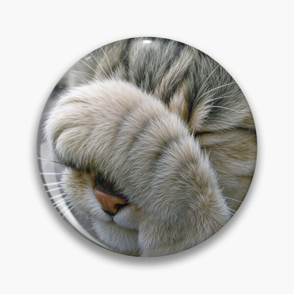 Item preview, Close-up of a Tabby Cat Covering It's Face designed and sold by Maria Dryfhout.