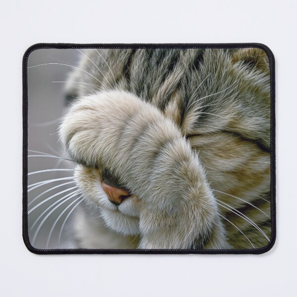 Item preview, Close-up of a Tabby Cat Covering It's Face designed and sold by Maria Dryfhout.