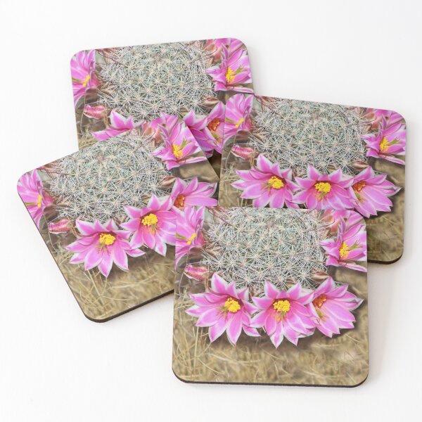 Item preview, Pretty Pink Cactus Flowers  designed and sold by simonjayphotos.