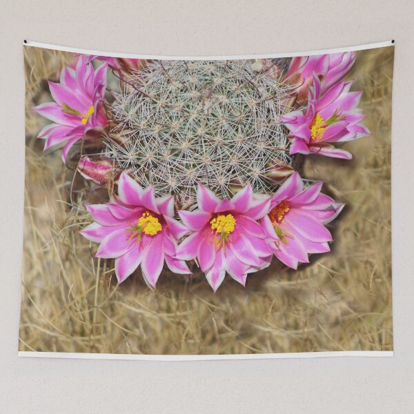 Item preview, Pretty Pink Cactus Flowers  designed and sold by simonjayphotos.