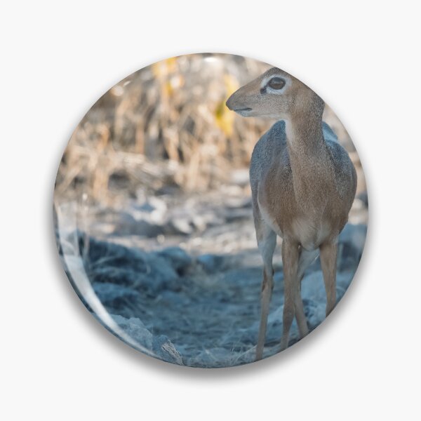 Item preview, Tiny Sentinel of Etosha — Damara Dik-Dik in Dappled Light (Namibia) designed and sold by DavideAntoniani.