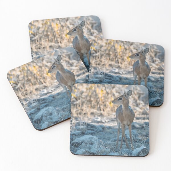 Item preview, Tiny Sentinel of Etosha — Damara Dik-Dik in Dappled Light (Namibia) designed and sold by DavideAntoniani.
