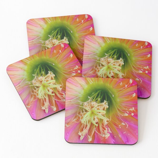 Item preview, Pink Cactus Flower Close Up designed and sold by simonjayphotos.