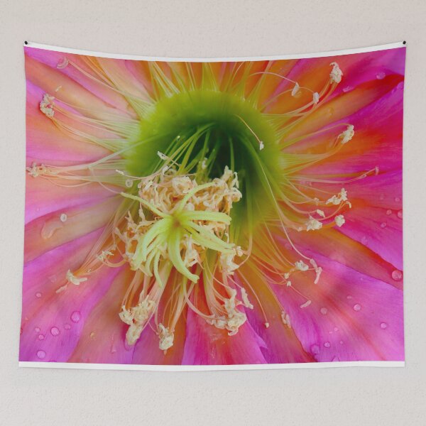 Item preview, Pink Cactus Flower Close Up designed and sold by simonjayphotos.