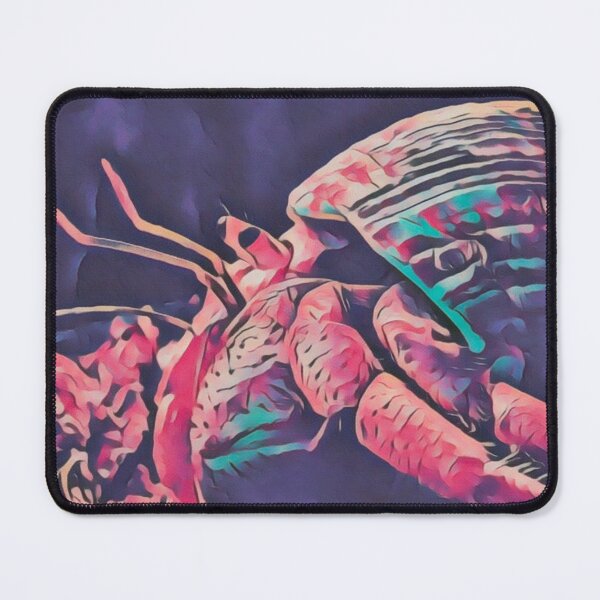 Item preview, Hermit crab designed and sold by TheCrabLady.