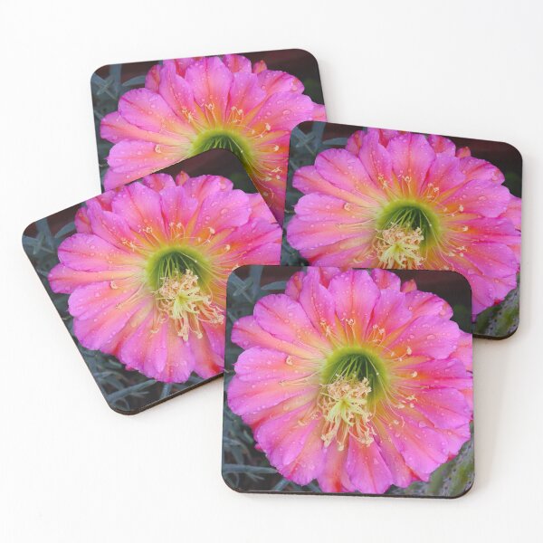 Item preview, Beautiful Pink Cactus Flower designed and sold by simonjayphotos.