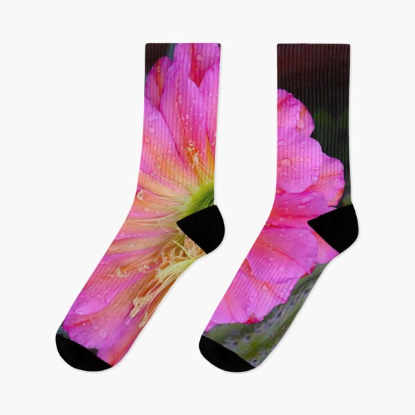 Item preview, Beautiful Pink Cactus Flower designed and sold by simonjayphotos.