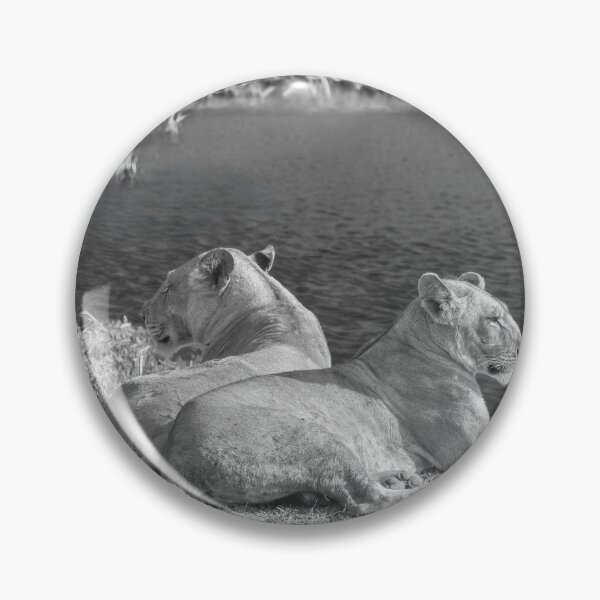 Item preview, Mother and Daughter Lionesses In Black and White designed and sold by Kay Brewer.