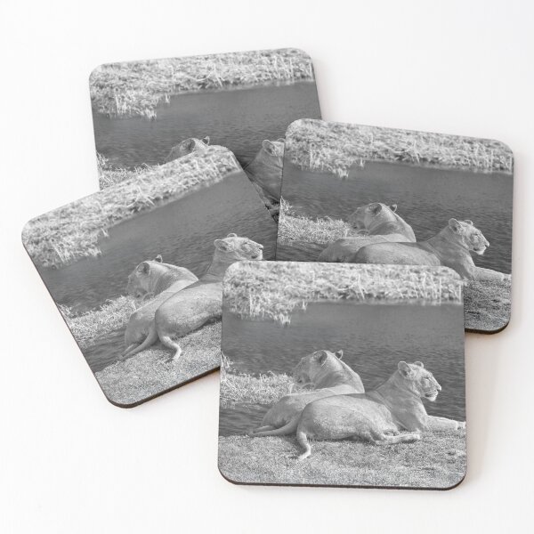 Item preview, Mother and Daughter Lionesses In Black and White designed and sold by Kay Brewer.