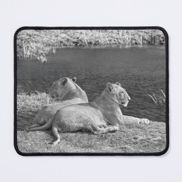 Item preview, Mother and Daughter Lionesses In Black and White designed and sold by Kay Brewer.