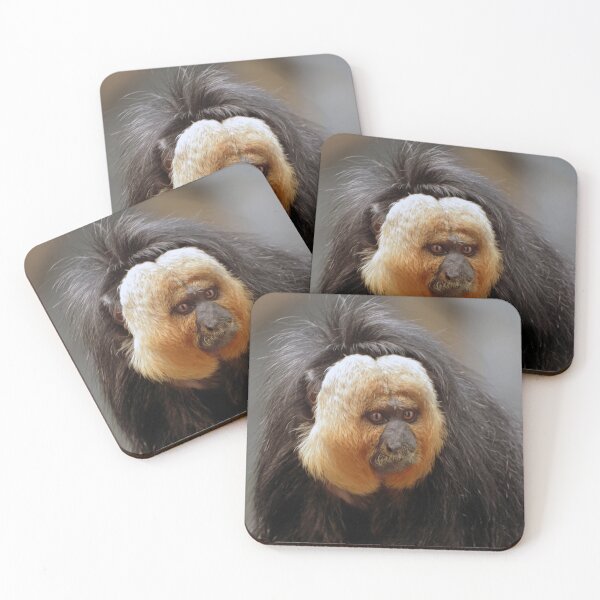 Item preview, White-faced Saki designed and sold by Savannah Gibbs.