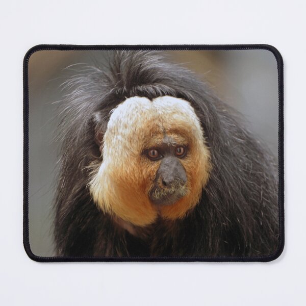 Item preview, White-faced Saki designed and sold by Savannah Gibbs.