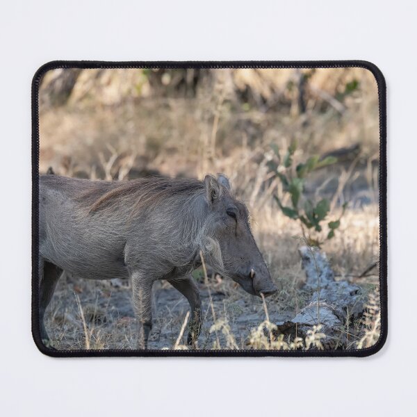 Item preview, Quiet Step of the Warthog — Dust and Light in the African Bush designed and sold by DavideAntoniani.