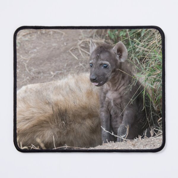 Item preview, Spotted Hyena Cub at the Den – Curious Eyes and a Peek of Tongue designed and sold by DavideAntoniani.