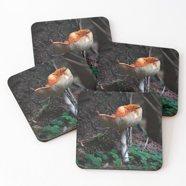 Item preview, Fly Agaric Todstool among the Wood Sorrel designed and sold by RedGrouse.