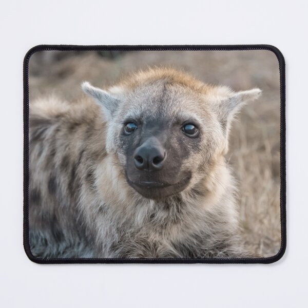 Item preview, Hyena Cub’s Soft Smile — Spotted Hyena Portrait from Africa designed and sold by DavideAntoniani.