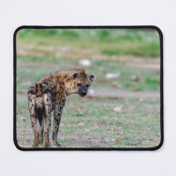 Item preview, Over-the-Shoulder Glance — Young Spotted Hyena designed and sold by DavideAntoniani.
