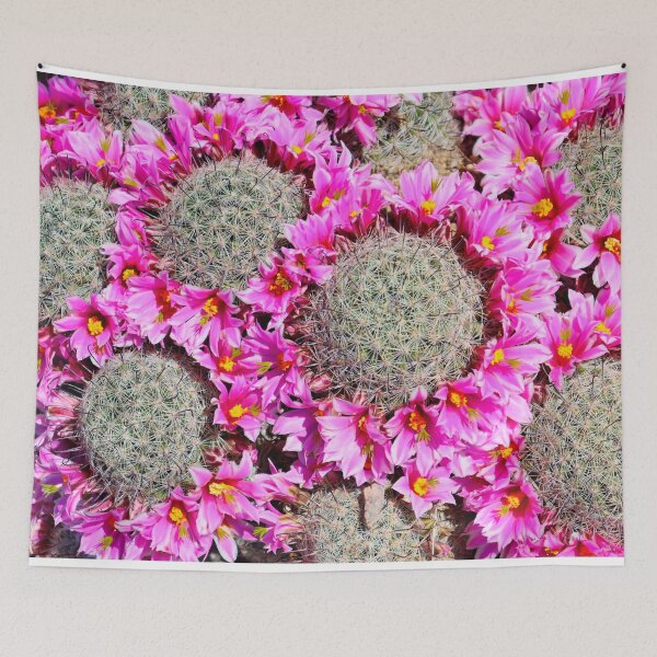 Item preview, Lovely Pink Cactus Flowers designed and sold by simonjayphotos.