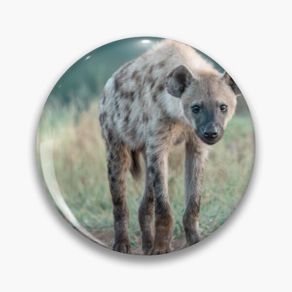 Item preview, Curious Little Hyena at Dawn — Wild Africa designed and sold by DavideAntoniani.