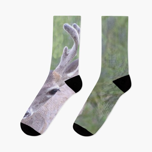 Item preview, Male Deer Looking At You designed and sold by simonjayphotos.